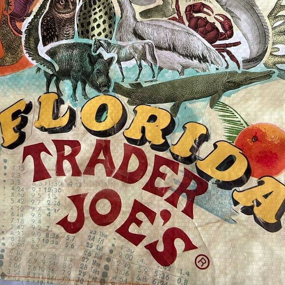 Trader Joe’s Plastic Reusable Shopping Tote Bag 6 Gallon Florida - Picture 11 of 14